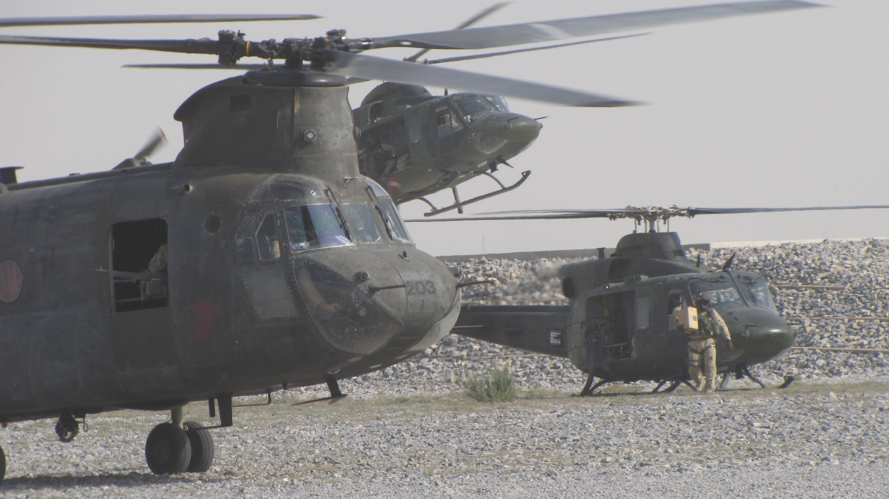 wgAfp07.jpg