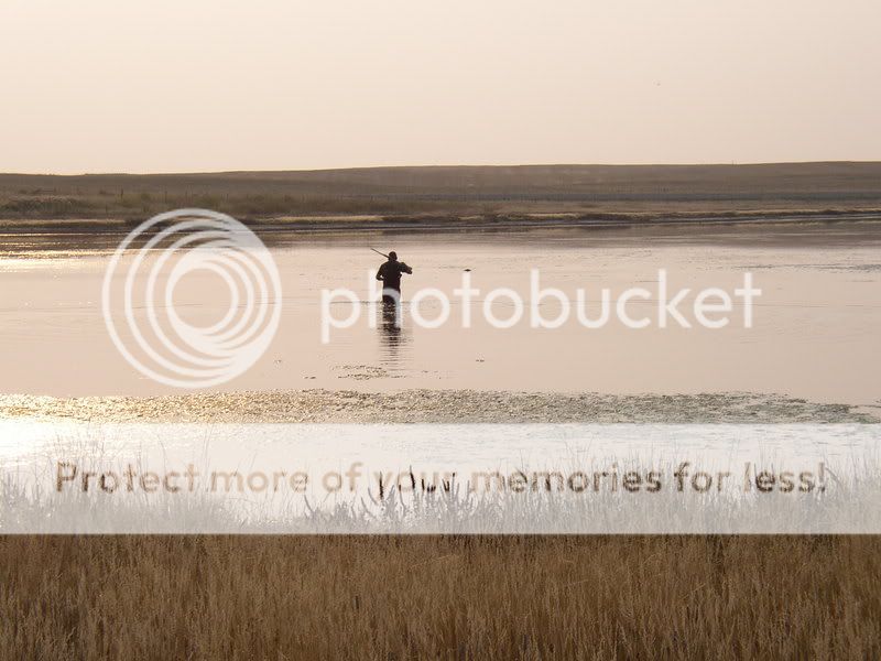 Duckhunting002.jpg