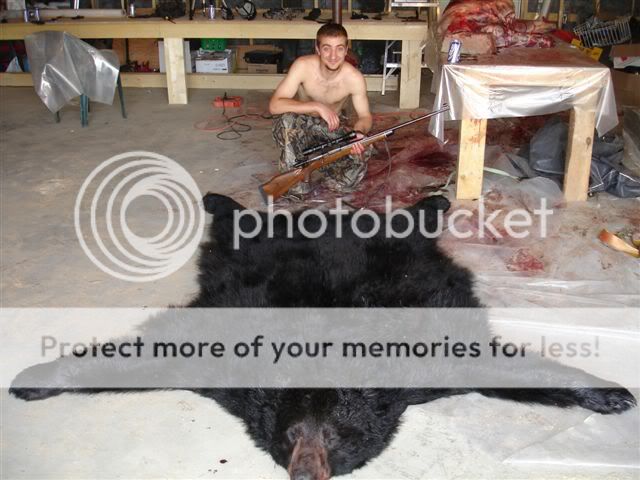Bojan_s_bear_043.jpg
