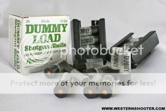 Dummy-Shells-583x392.jpg