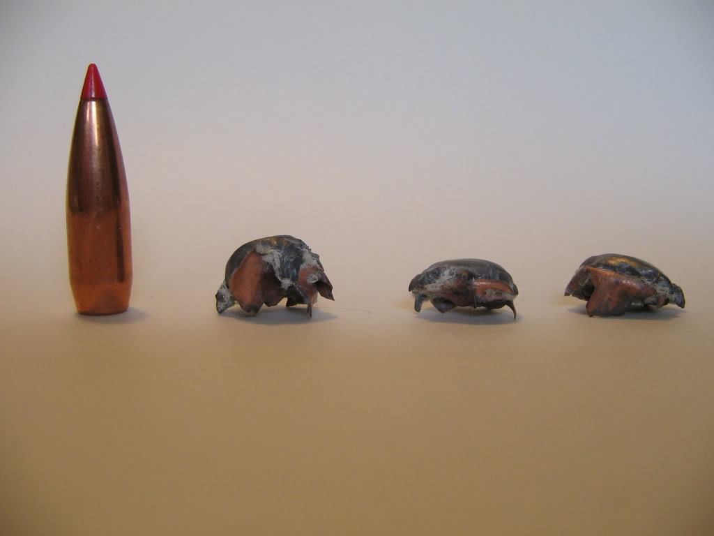 95gr-Hornady-VMAX.jpg