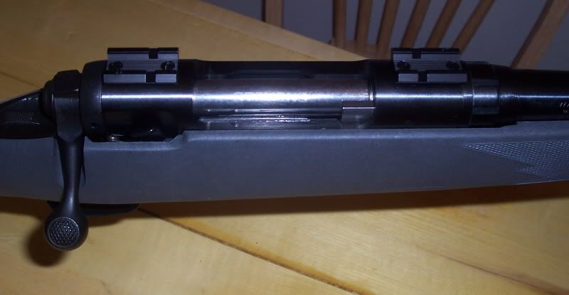 Stevens200003s.jpg
