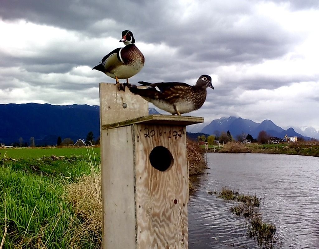 SUNP0286_zpsa2yabvqf.jpg~original