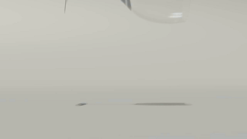 MhRr1.gif