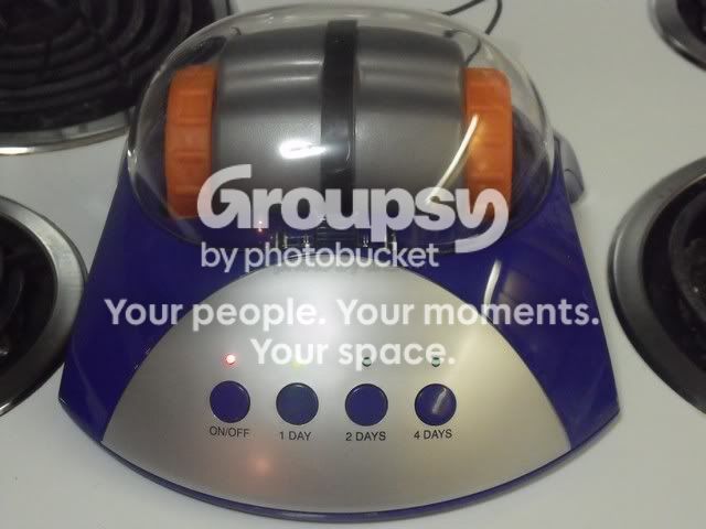 DSCF1312.jpg