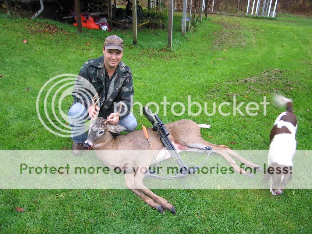 2007archerybuck002.jpg