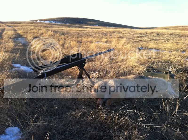shootinghunting056.jpg