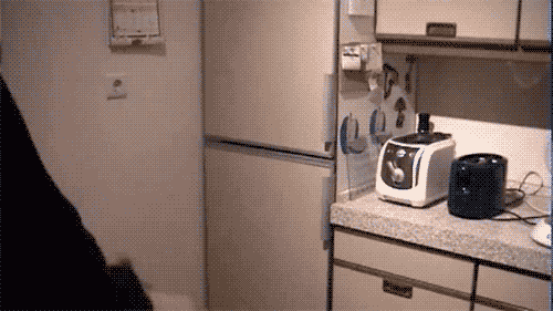 12.14_Funny_Gifs_4.gif