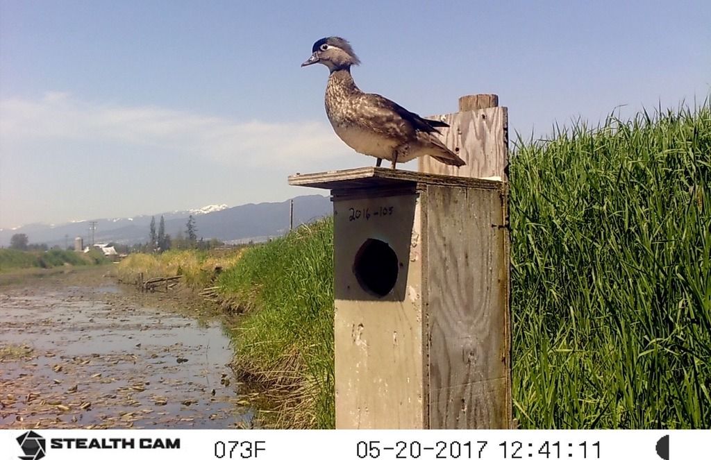 image_zpsnuxa1inv.jpeg~original