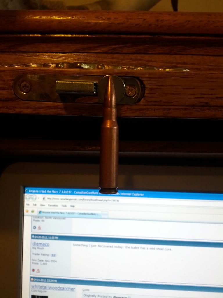 ammo009.jpg