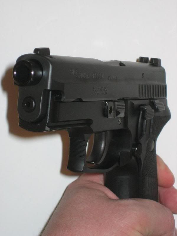 SIG11.jpg