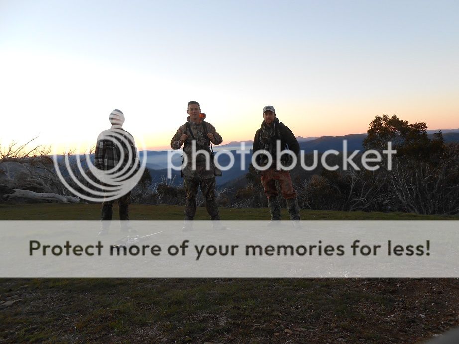 DSCN0768HilldogJoeyhoundWodjack.jpg~original