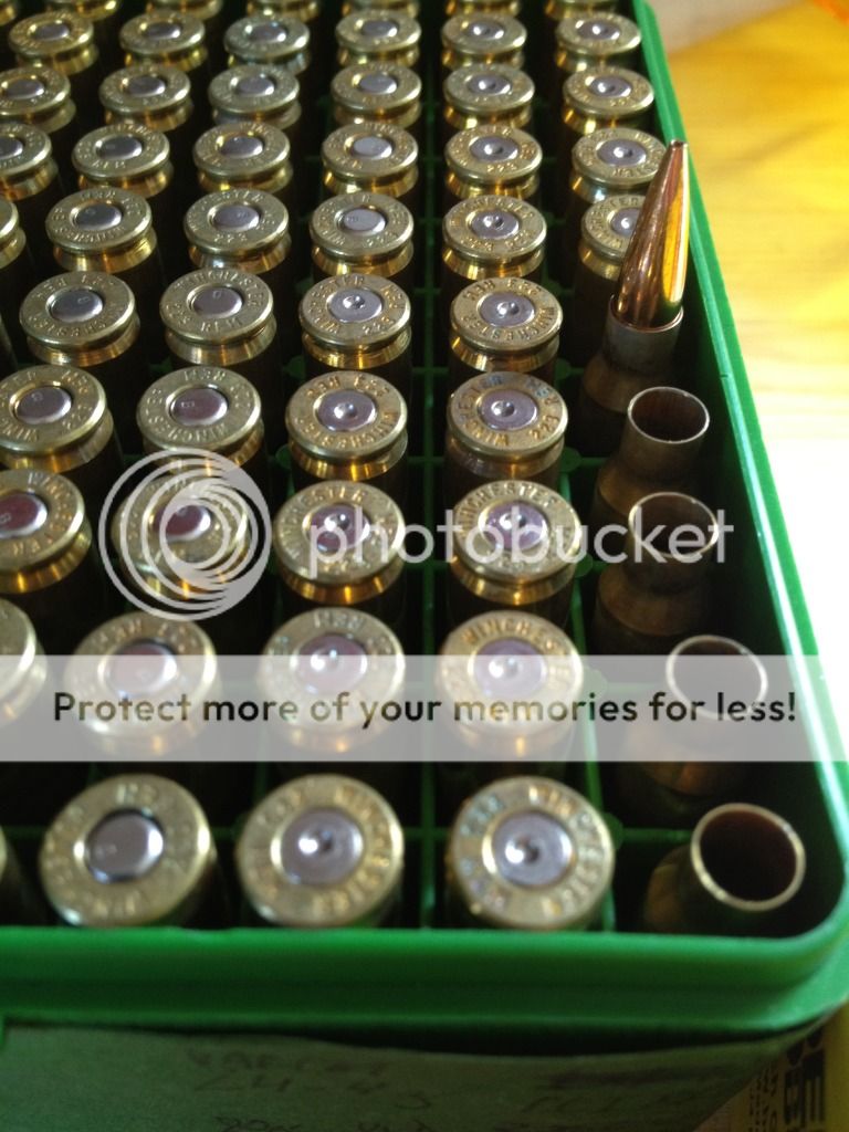 7BB8D138.jpg