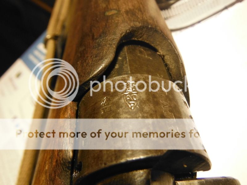 DSCF6569_zpsvl1x9qco.jpg