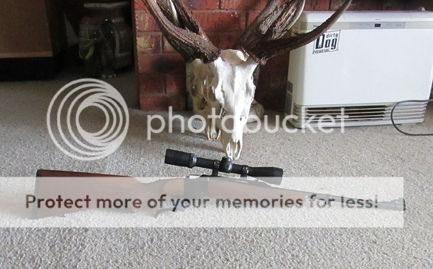 IMG_3640%20Ruger3.jpg~original