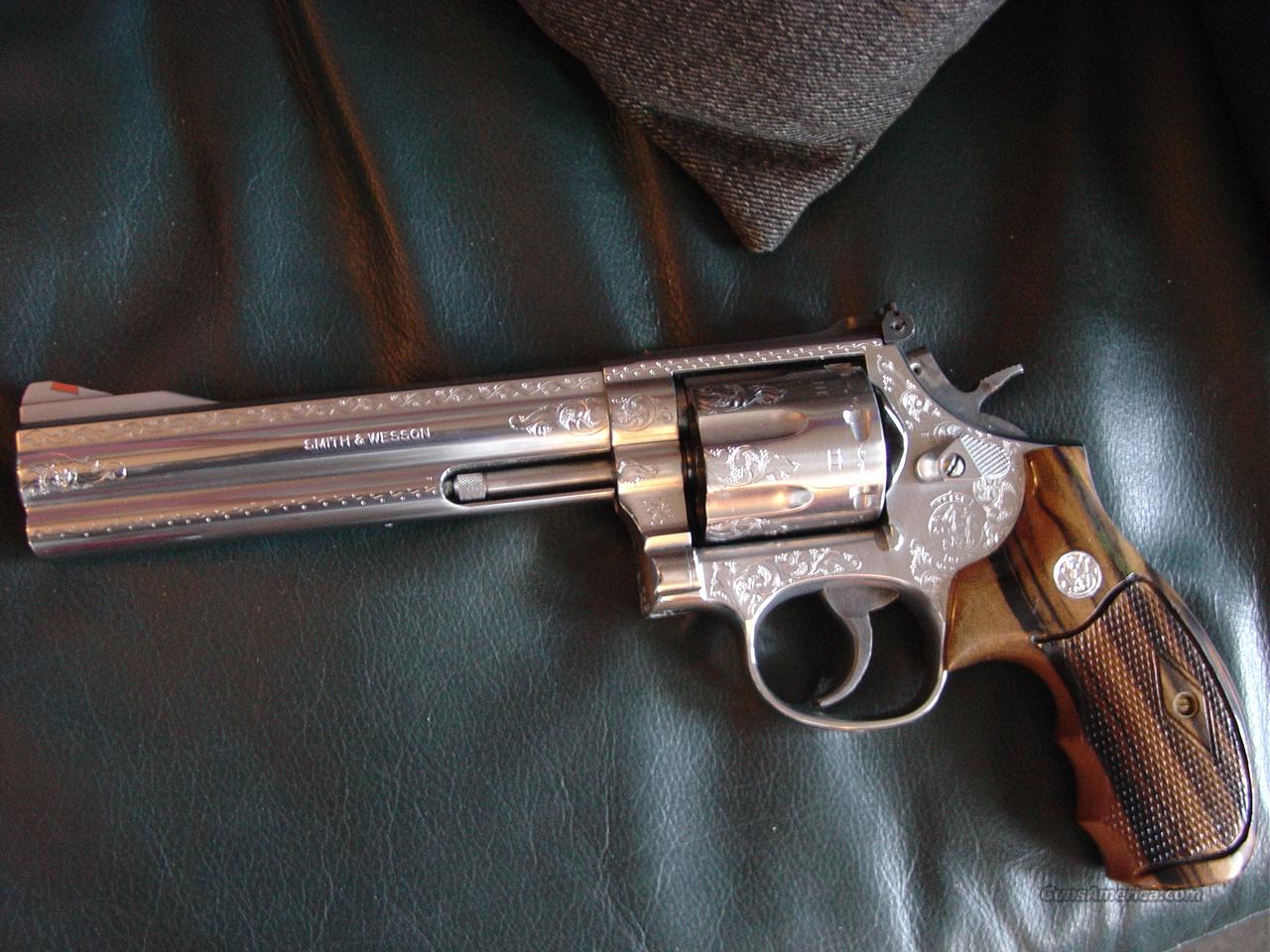 wm_6629134.jpg