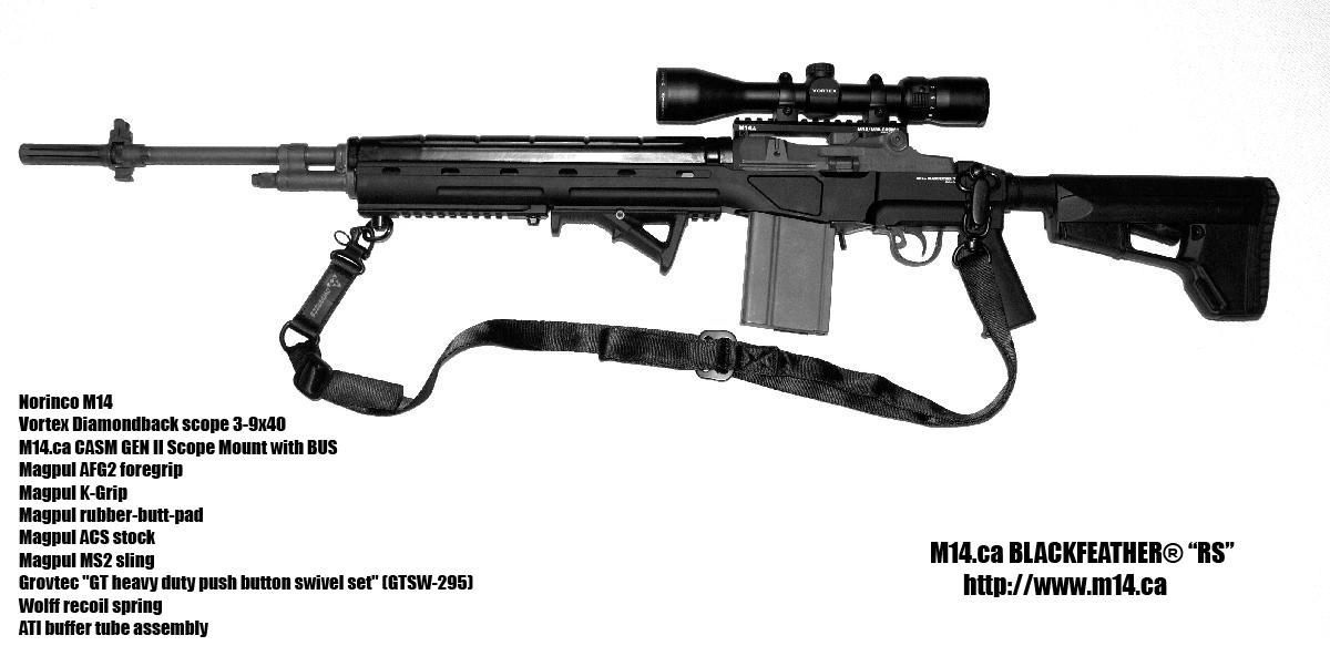 m14_blackfeather_custom_build.jpg
