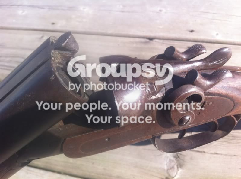 shotgun3.jpg
