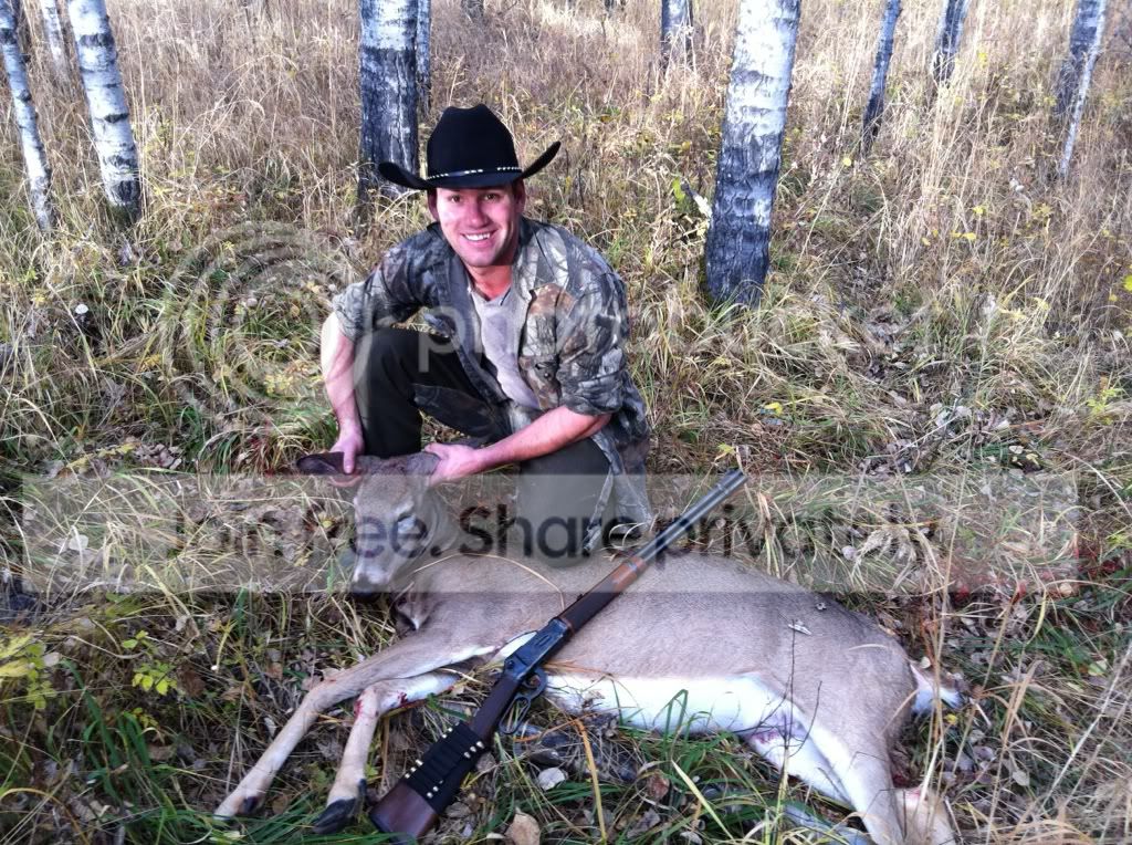 DevinOct112011whitetaildoe.jpg