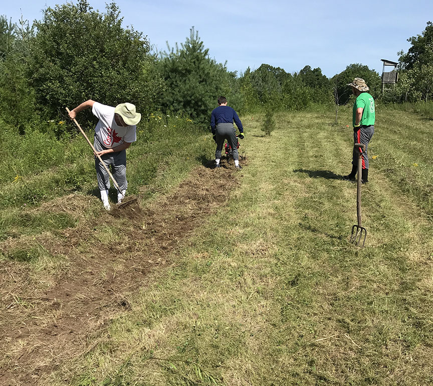 food-plot-tilling-lr.jpg