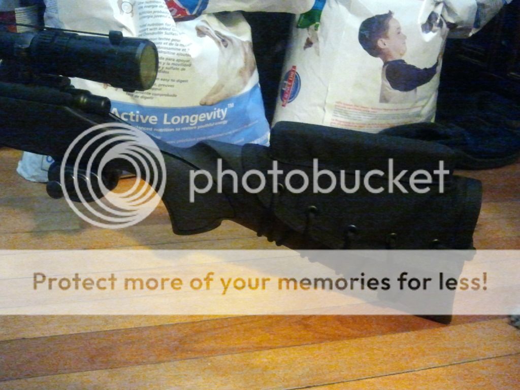 2011-09-29131621.jpg