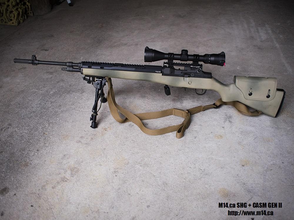 M14.ca_CASM_SHG_NZ.jpg