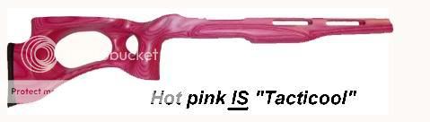 Hot20Pink20007.jpg