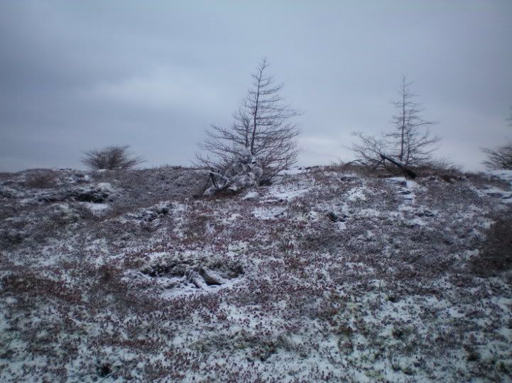 dec31022.jpg