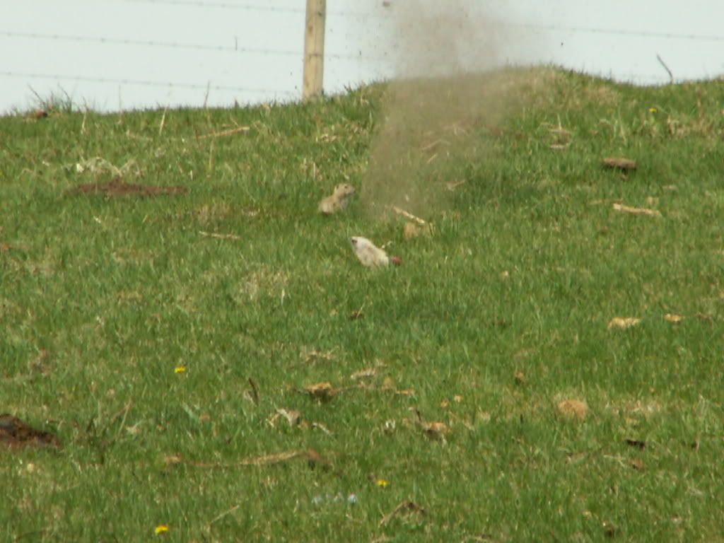 PICT0265.jpg
