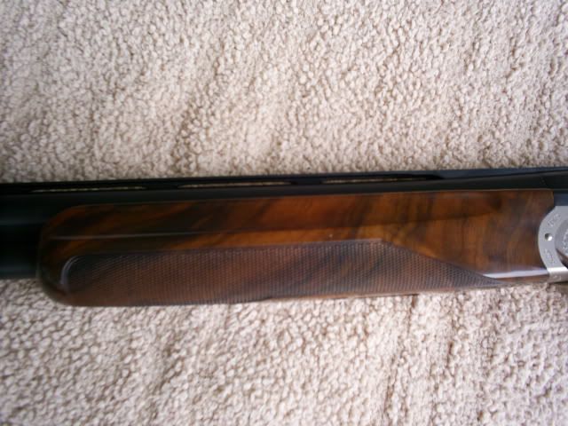 S4021869.jpg