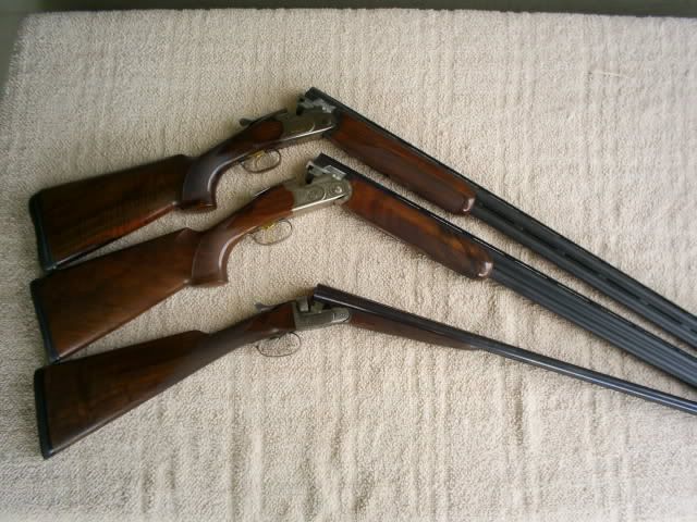 S4021860.jpg