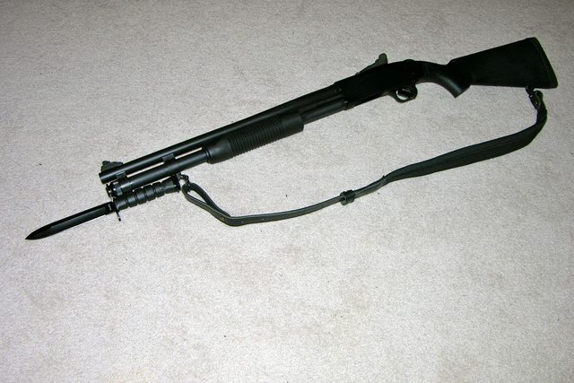 jMYIhfDl.jpg