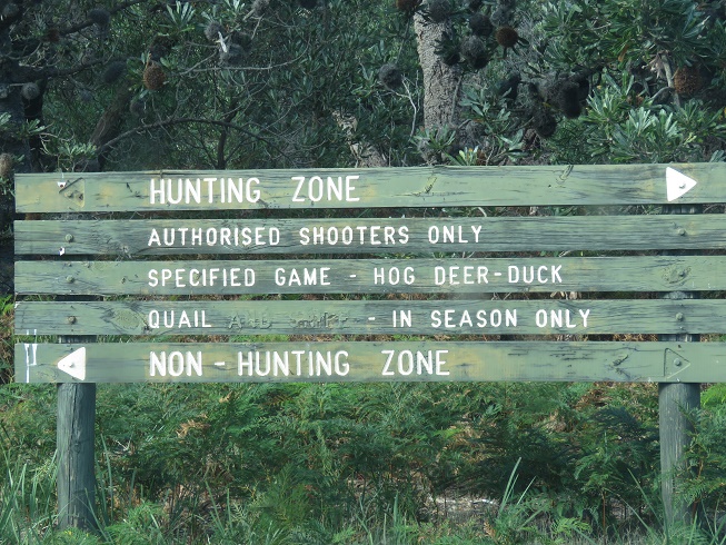 3JdnRCP.jpg