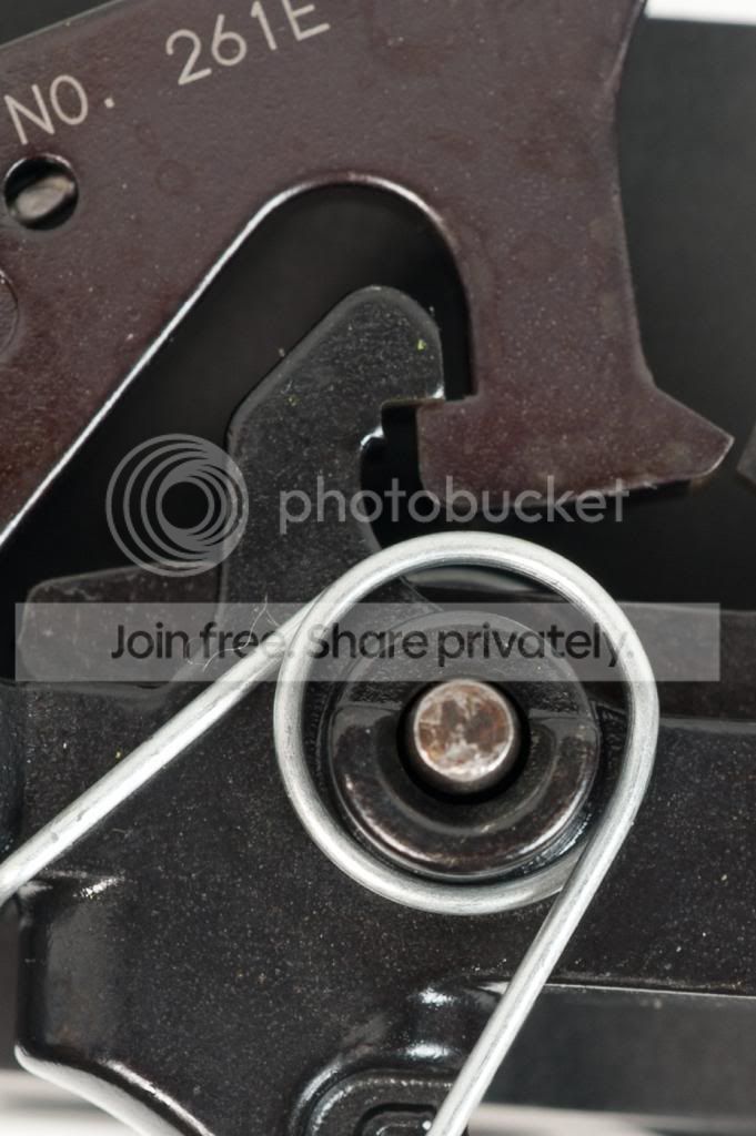Geissle-2_zpsc5971537.jpg