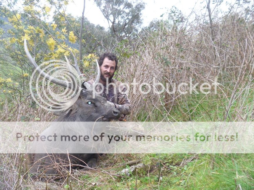 P1020168resize28hd.jpg~original