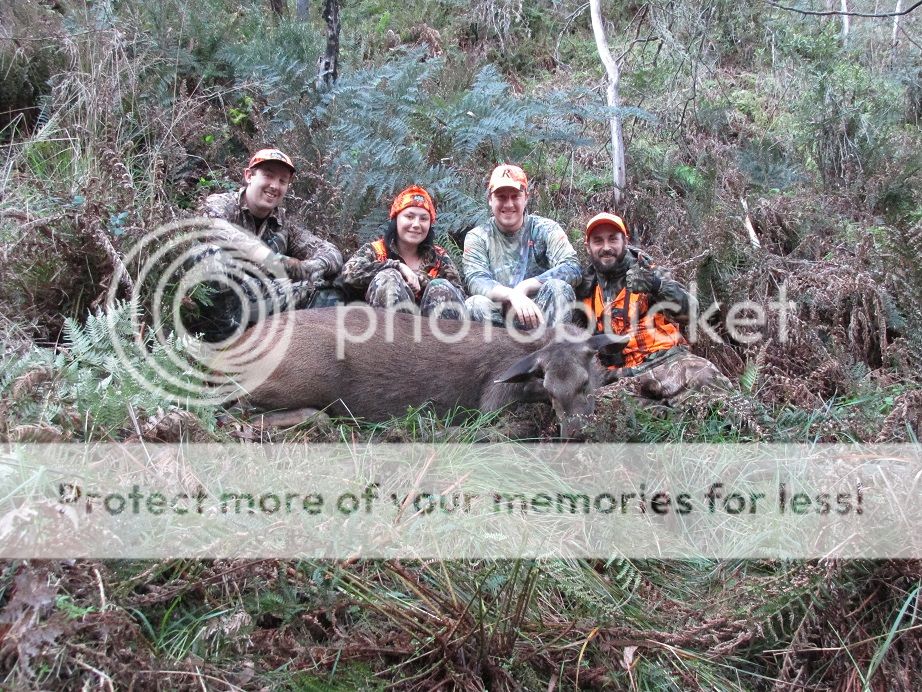 IMG_0974gattahind.jpg~original