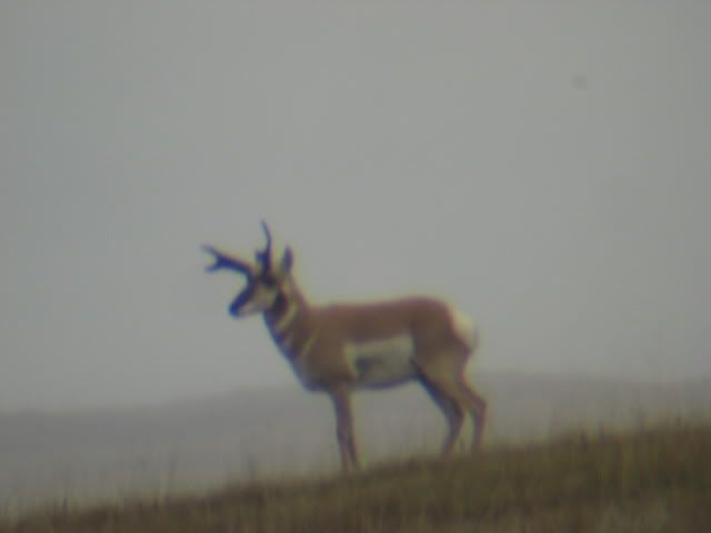 RonsCamera025.jpg