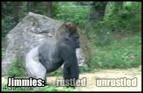 jimmies-rustled-gif_zps40ffc51b.gif