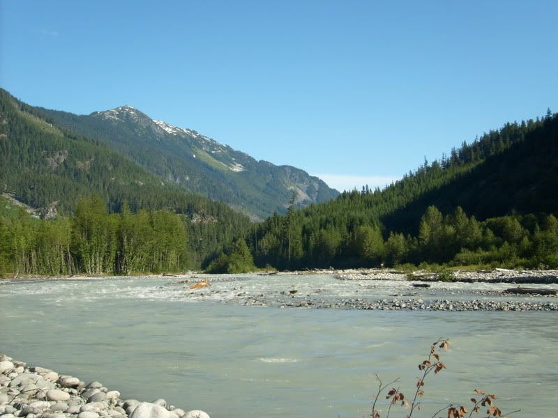 S6300168.jpg