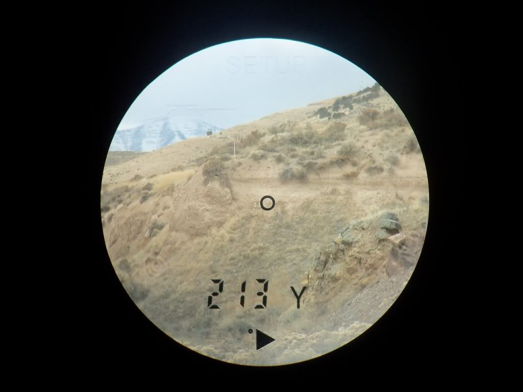 213.jpg