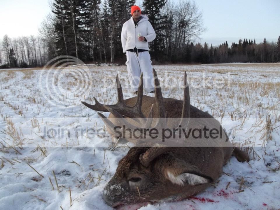 2011saskbuck.jpg