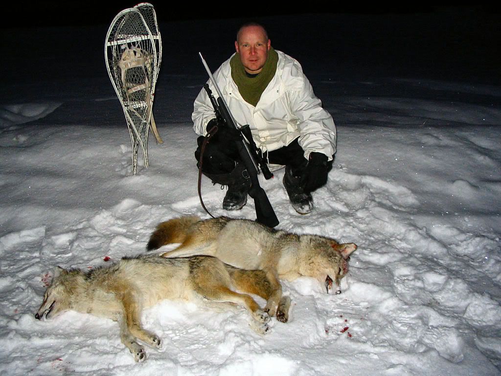 COYOTEScalledshot230and252ydsWITH.jpg
