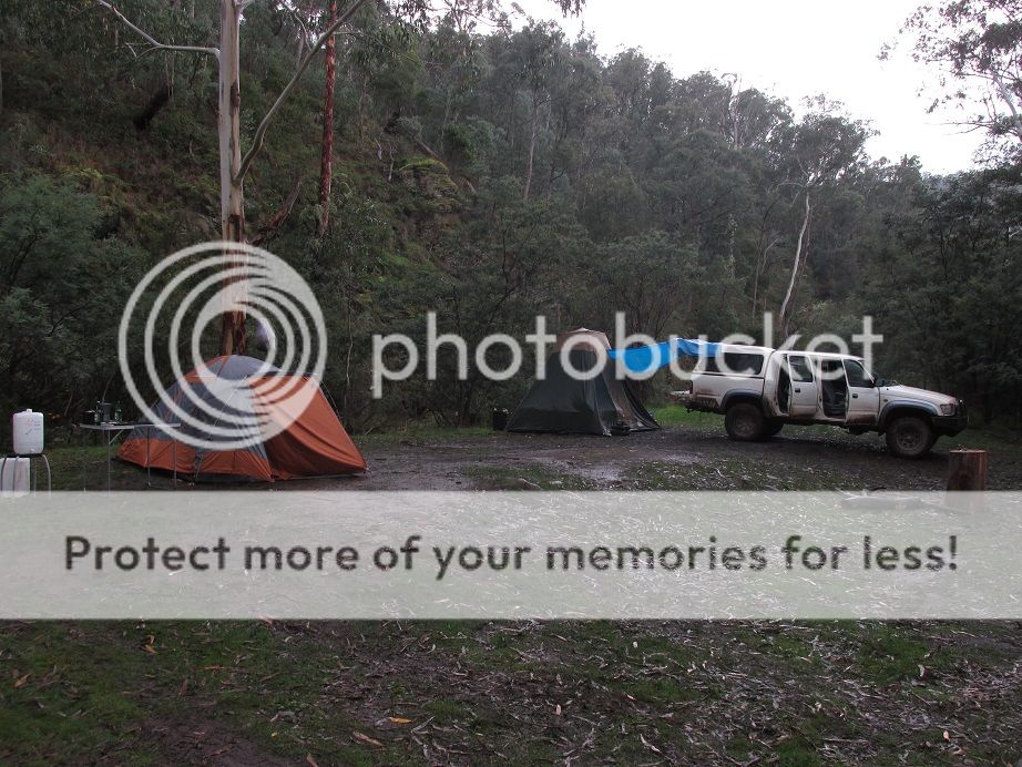 IMG_1001camp.jpg~original