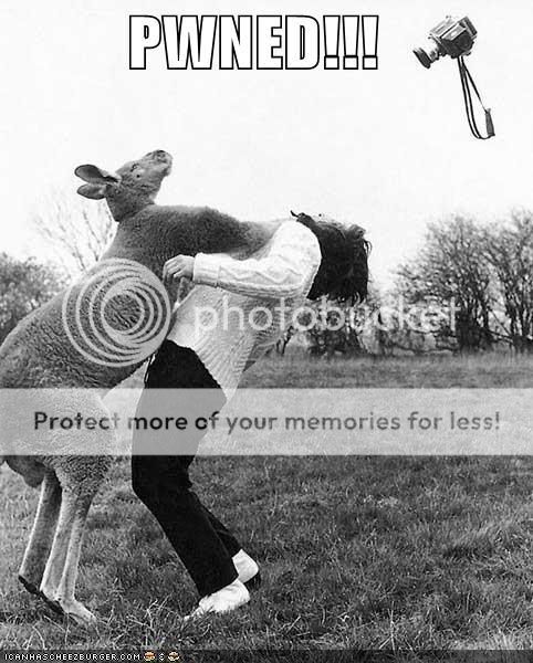 kangaroo-punch.jpg