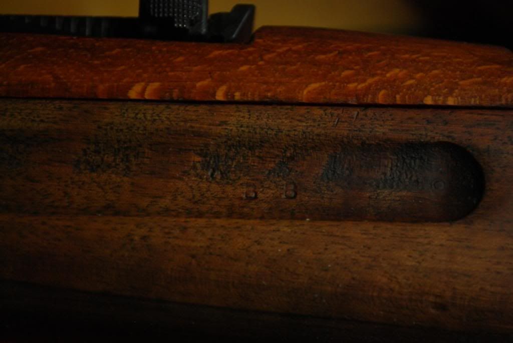 DSC_0017_zps13a8b7da.jpg