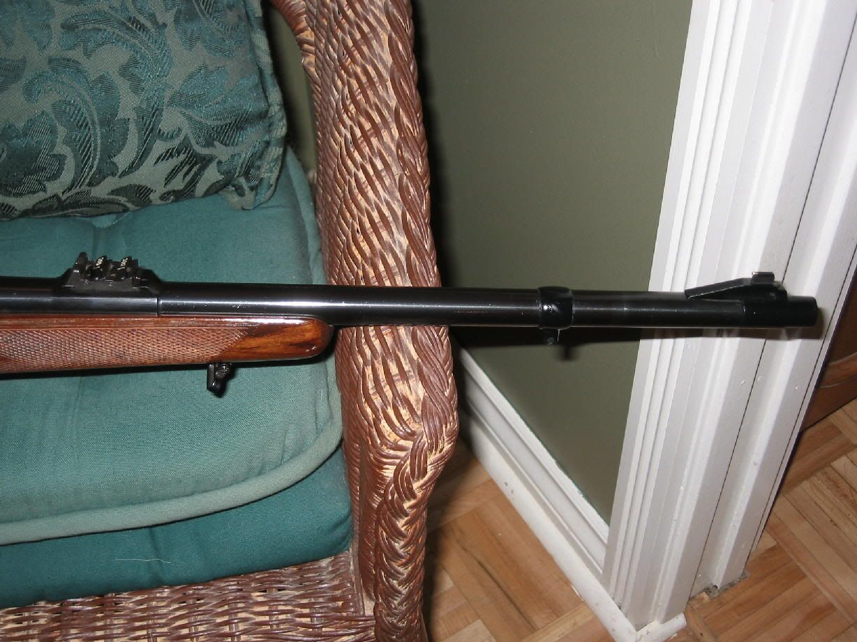 bearguns0009_1.jpg