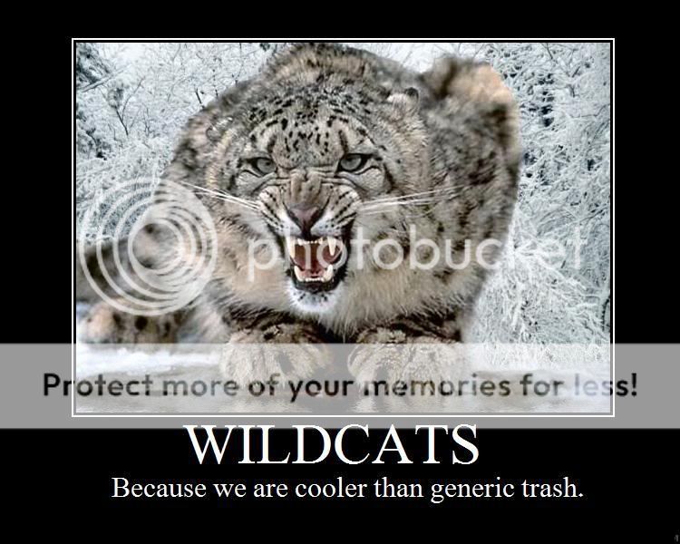 wildcats.jpg