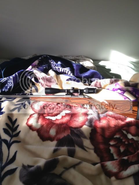 sako6.jpg