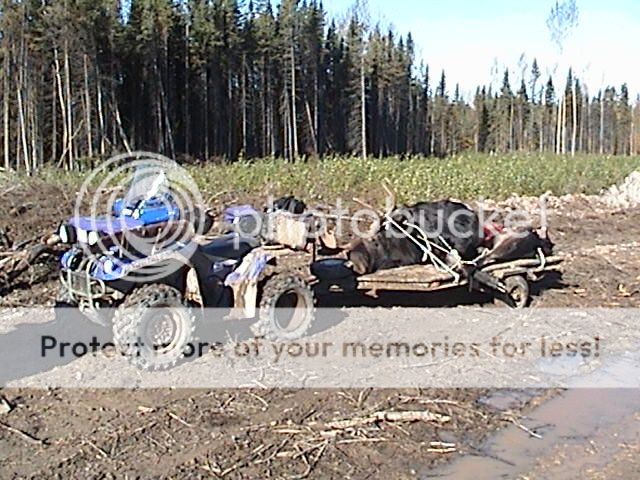 DSC00131.jpg