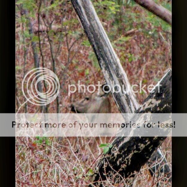 IMG_20150814_142522.jpg~original